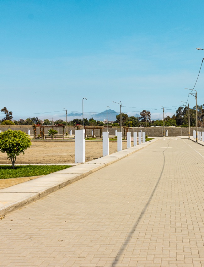 Trazado urbano